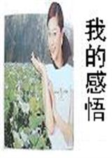 我的感悟-技术与权术的摶弈与结盟