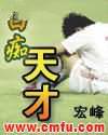 白痴天才