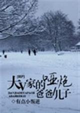大v家的哑炮爸爸儿子
