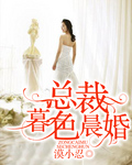 总裁暮色晨婚