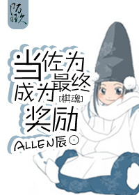 当佐为成为最终奖励