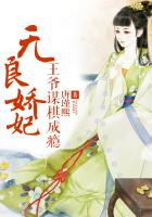无良娇妃,王爷谋棋成瘾