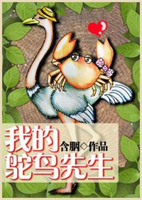 我的鸵鸟先生