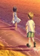 海棠花开了