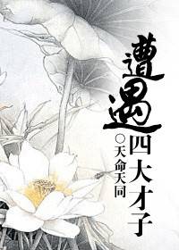 遭遇四大才子