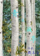 青春换季