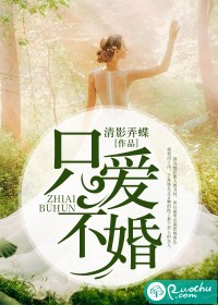 只爱不婚