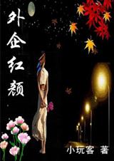 石榴裙下的机关男人外企红颜