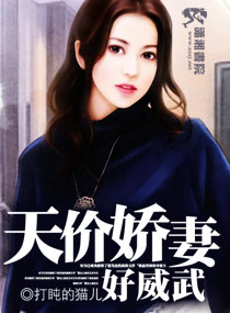 天价娇妻好威武