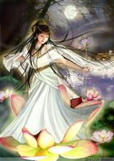 五夫一妻_