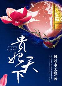 贵妃天下（重生）