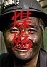 煤殇