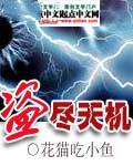 盗尽天机