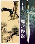 鹰翼传说