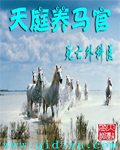 天庭养马官