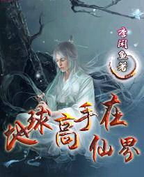 地球高手在仙界