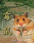 子鼠之霉鼠