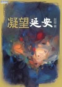 凝望延安