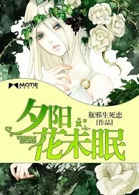 夕阳花未眠