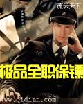 极品全职保镖