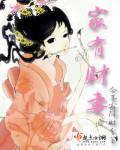 家有财妻