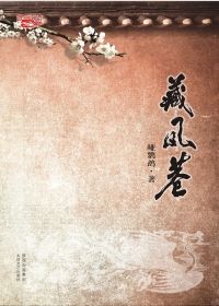 藏凤巷