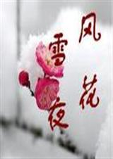 风花雪月