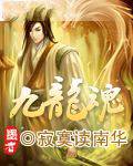 九龙魂