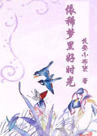 依稀梦里好时光