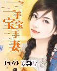一手宝宝二手妻