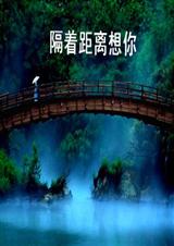隔着距离想你