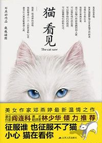 猫看见