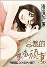 黑道总裁的顽妻