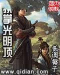 执掌光明顶