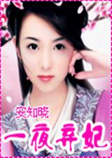 待嫁弃妃 又名一夜弃妃
