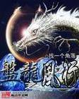 盘龙之风行