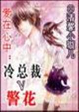 冷总裁v警花
