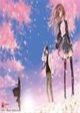 星星的心愿