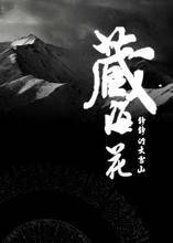 藏海花(第一部)