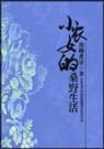 小农女的桑野生活