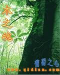 木之魂