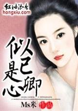 似已是卿心 完本