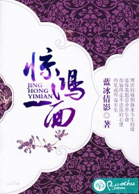 惊鸿一面