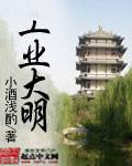 工业大明