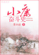 小康奋斗史