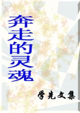 奔走的灵魂