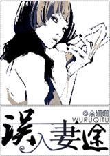 误入妻途