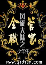 风旋大陆之全职管家