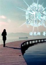 天使翅膀半透明