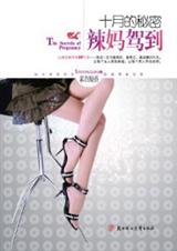 八零后准妈妈的必读教材辣妈驾到